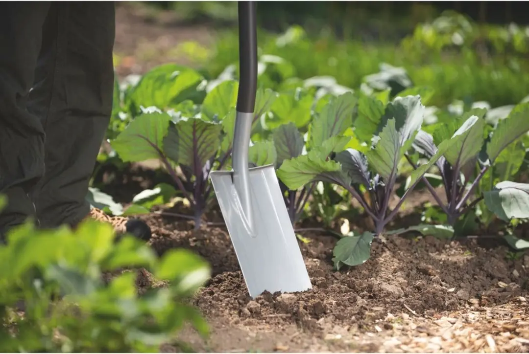 WOLF-Garten SPADE AS-D