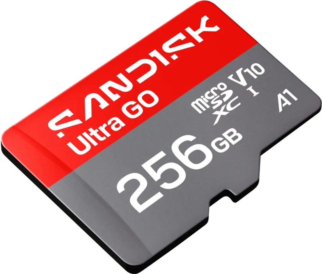 SanDisk microSDXC Ultra GO 256GB - UHS-I U1 A1