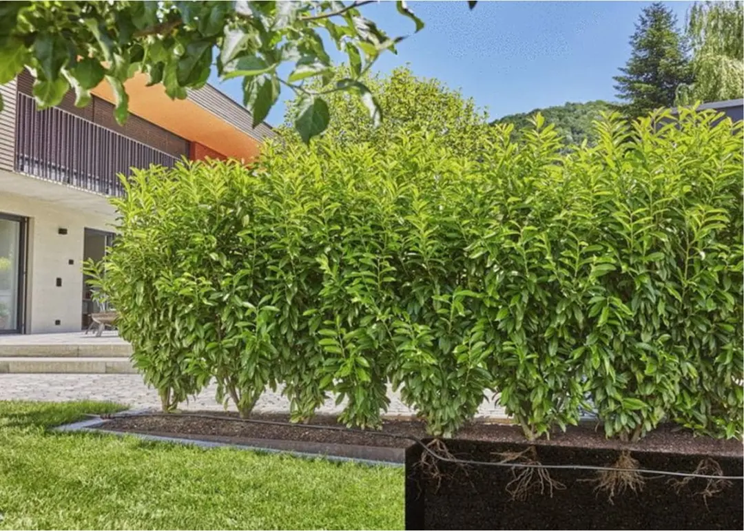 Gardena Micro-Drip Complete Bevloeiingsset 13500-20 - 150 Planten