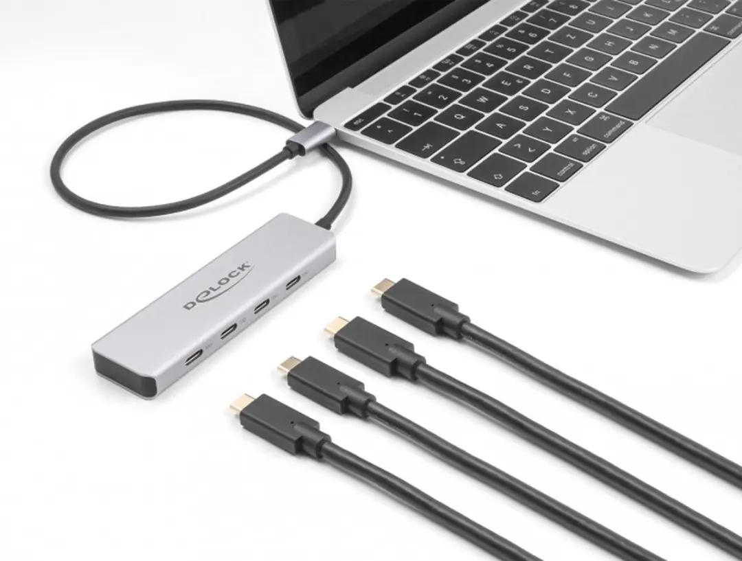 Delock 64231 USB Type-C Hub 10Gbps - Grijs