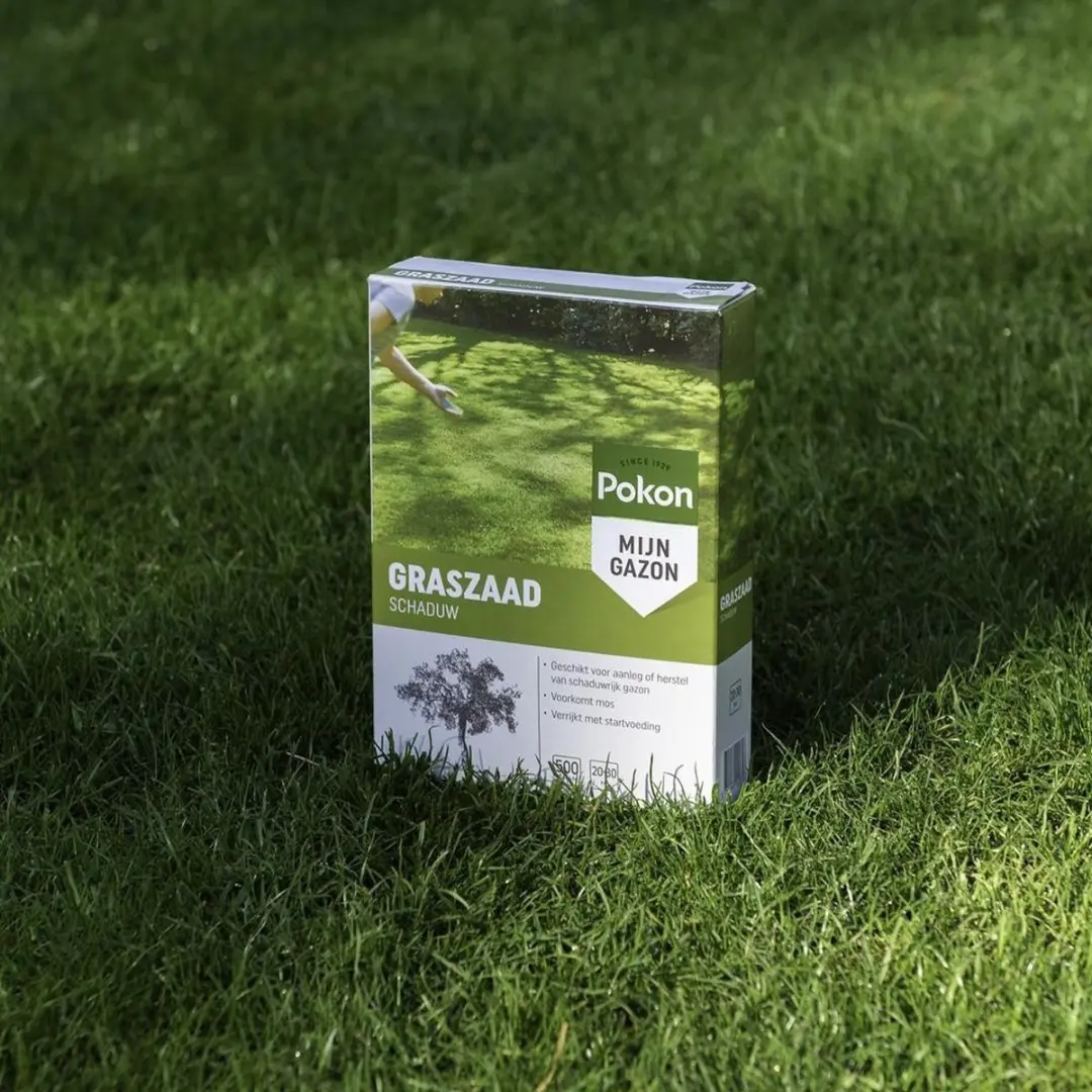 Pokon Graszaad Schaduw 250g - Geschikt voor 10-15m²