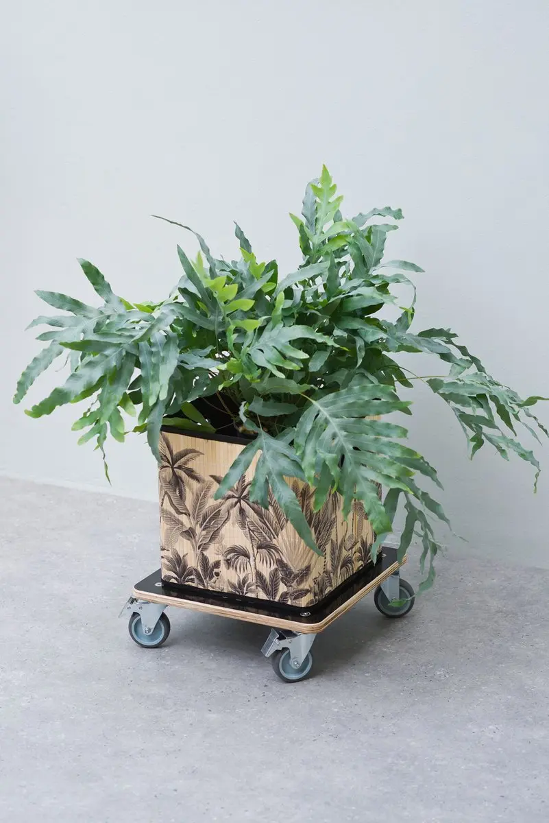 Nature Planttrolley - 12,5x38x38cm - Hout - Zwart