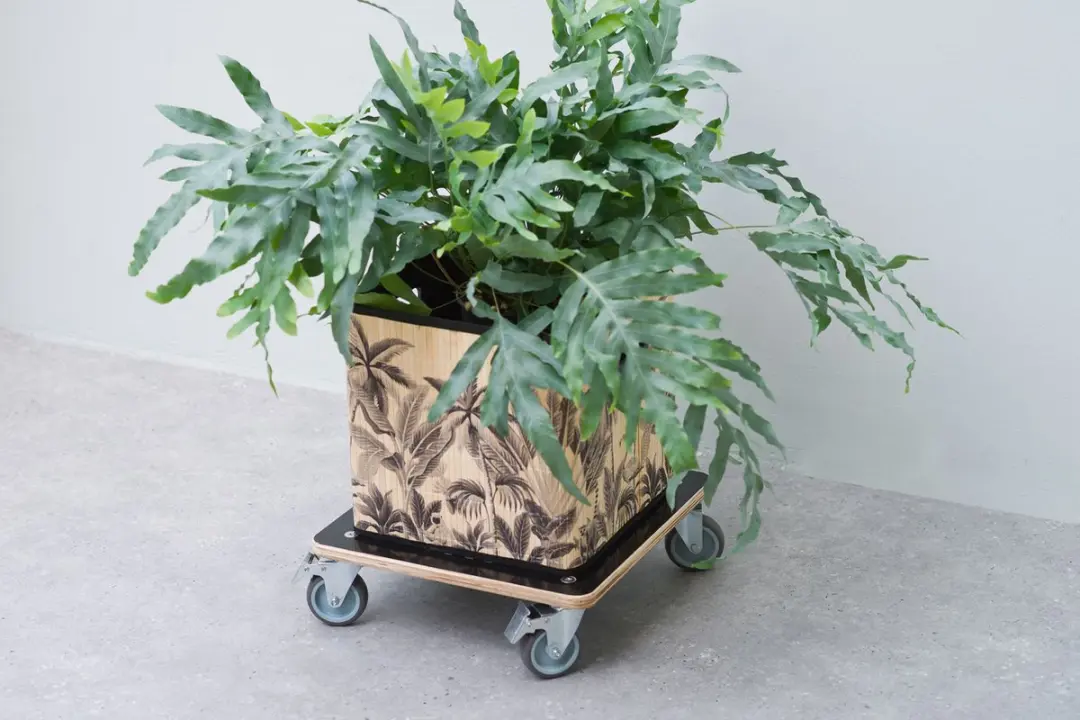 Nature Planttrolley - 12,5x38x38cm - Hout - Zwart