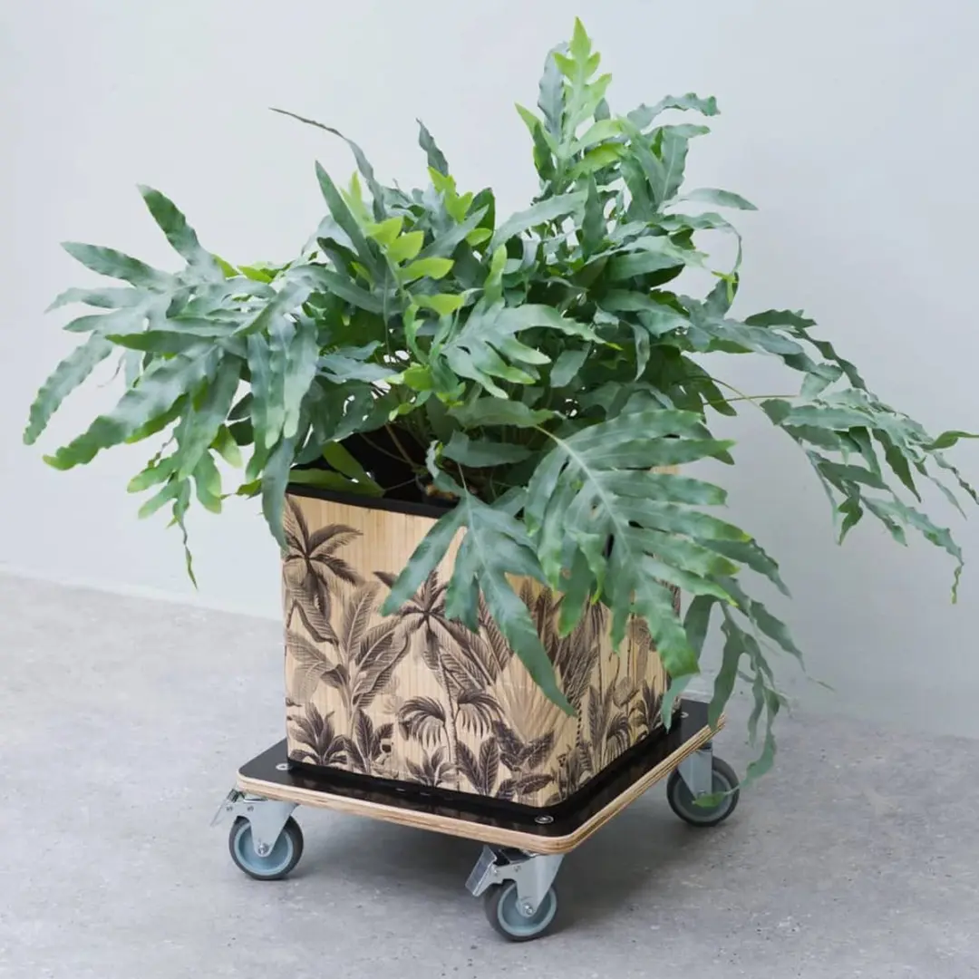 Nature Planttrolley - 12,5x38x38cm - Hout - Zwart