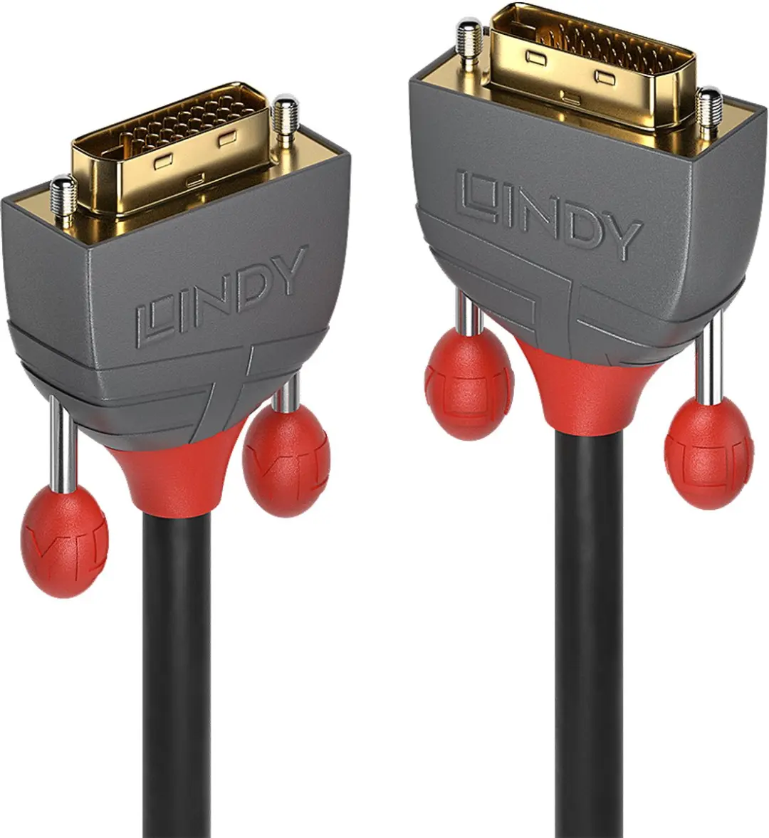 Lindy DVI-D Kabel 36221