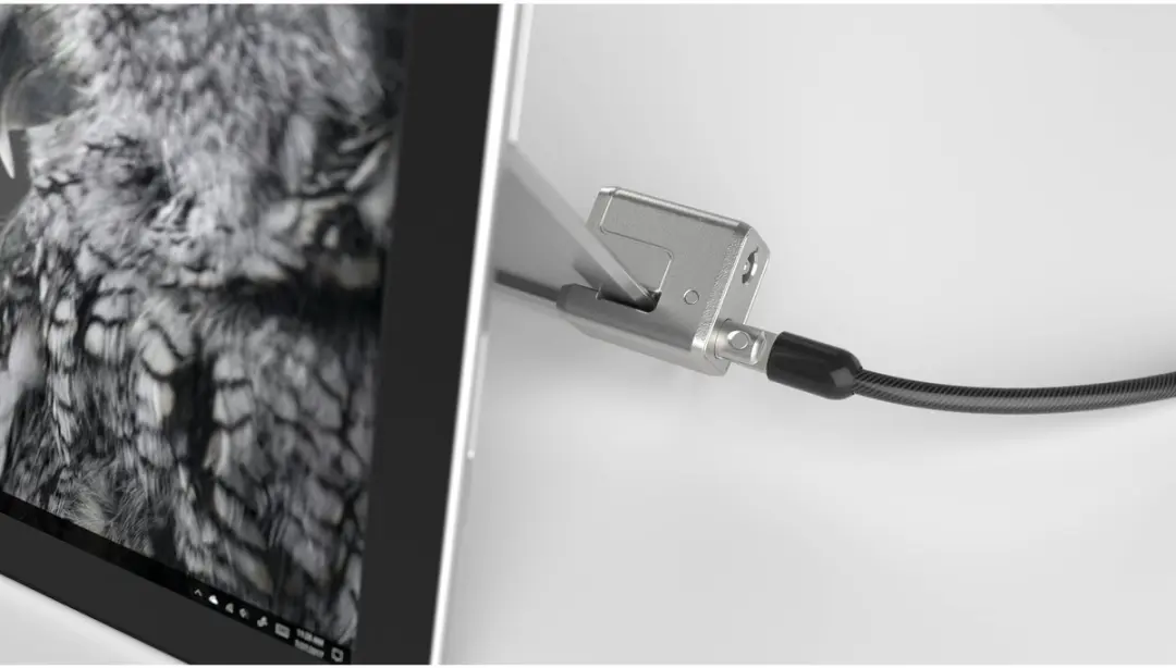 Kensington K68134WW Security Cable - Zwart