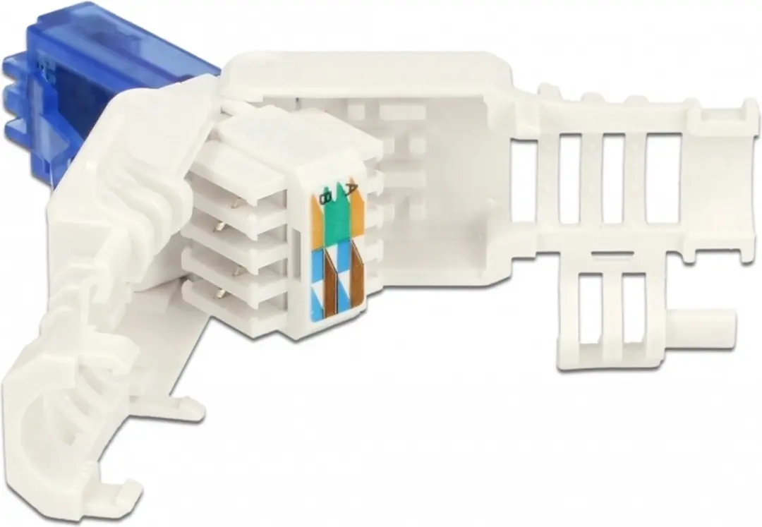 Delock RJ45 Cat.6A UTP Plug - 2 Stuks - Blauw/Wit