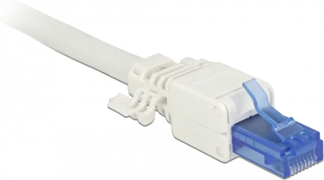 Delock RJ45 Cat.6A UTP Plug - 2 Stuks - Blauw/Wit