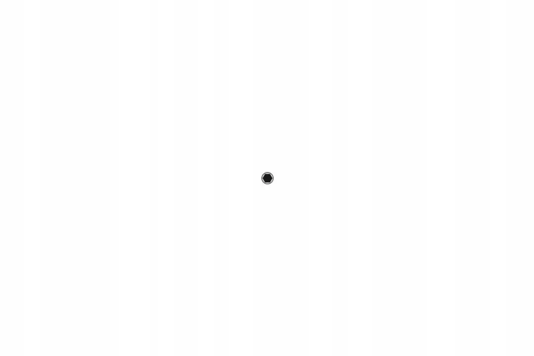 Wiha Bit Professional 5.0mm MagicRing 23149 - 50mm