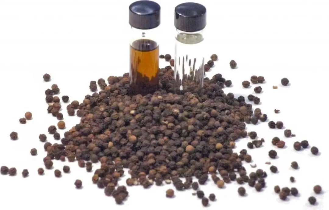 Volatile Peper Zwart Etherische Olie 10ml