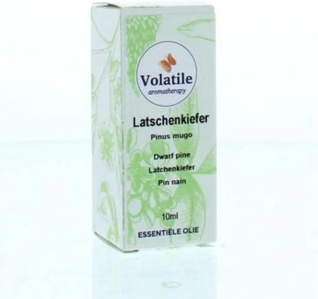 Volatile Latchenkiefer 10ml - 10 Stuks