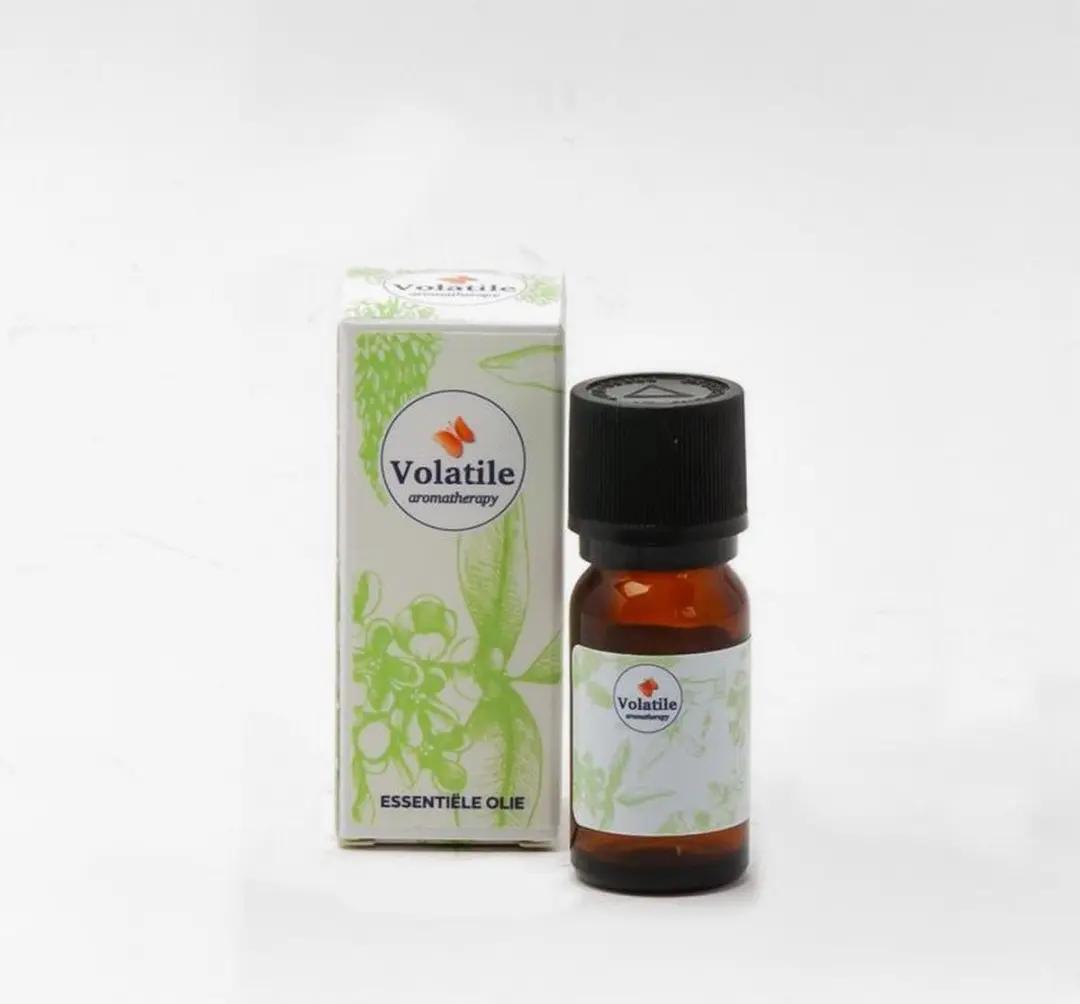 Volatile Wintergreen Bio 10ml