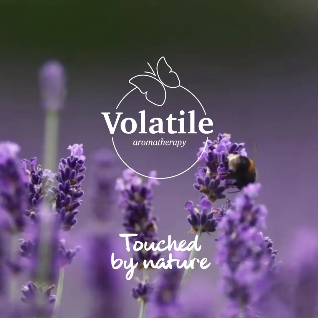 Volatile Eucalyptus Wild Etherische Olie 10ml