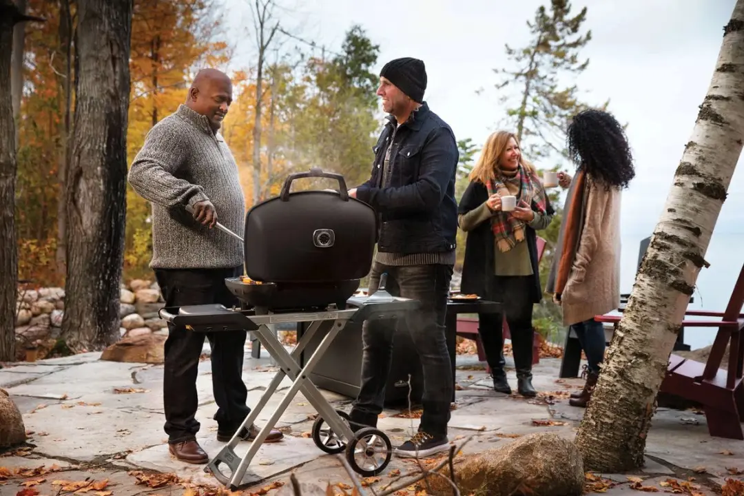 Napoleon TravelQ PRO285X Gasbarbecue - Draagbaar met zijtafels