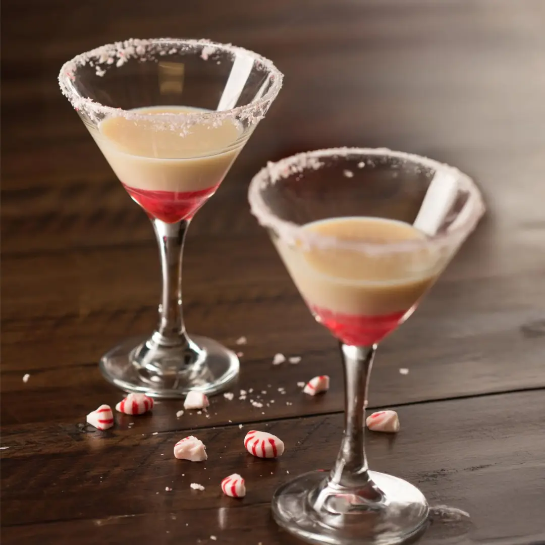 Libbey Embassy Martini Glazen 266ml - 12 Stuks