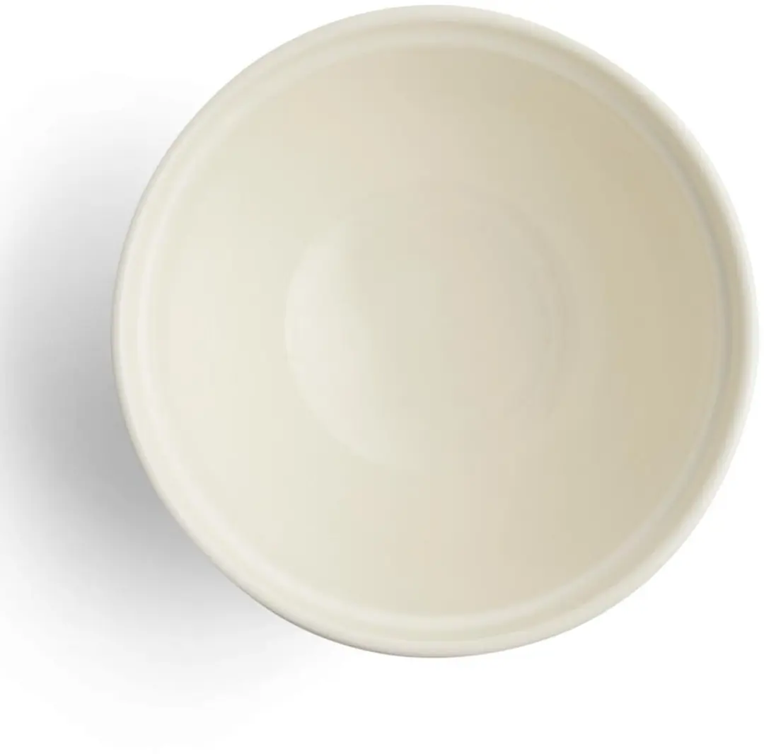 Royal Boch Kom 20cm - 2 Stuks Wit