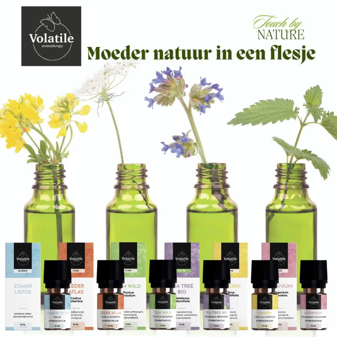 Volatile Eucalyptus Wild Etherische Olie 5ml - 5 Stuks