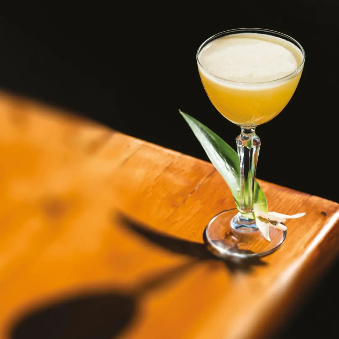 Libbey Speakeasy Nick & Nora Cocktailglazen 141ml - 12 Stuks