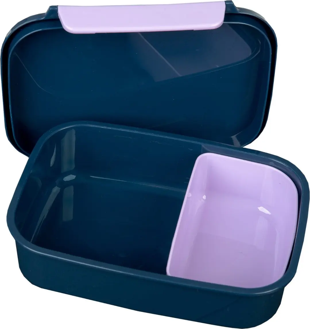 Van der Meulen Disney Frozen Lunchbox - 2 Vakken - Multi Colour