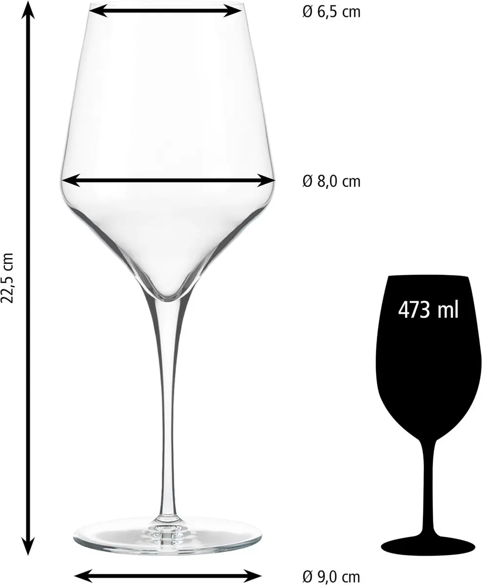 Libbey Prism Wijnglazen 473ml - 12 Stuks
