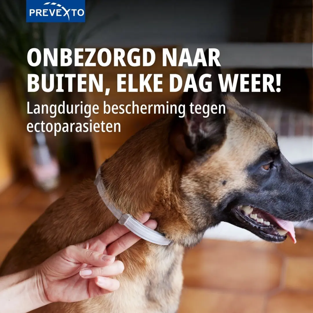 Virbac PreveXto Halsband Hond >8kg