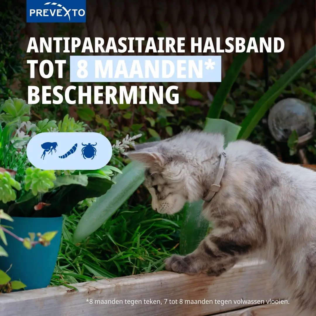 Virbac PreveXto Halsband Kat