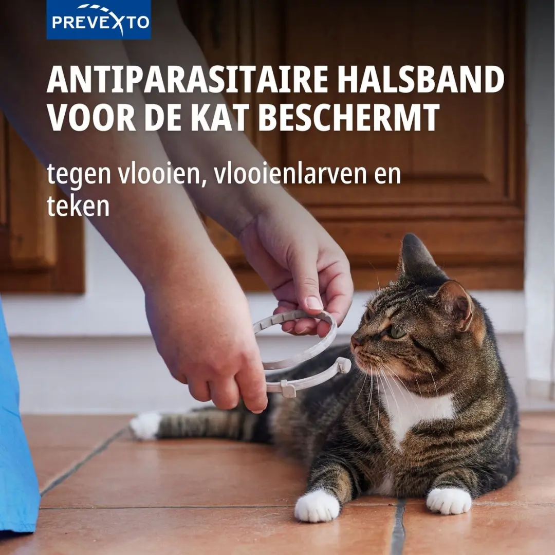 Virbac PreveXto Halsband Kat