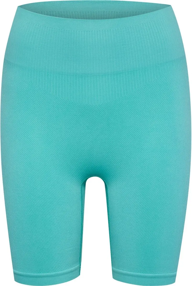 Hummel Hmlalive Seamless High Waist Shorts 228084 - XS - Pool Blue
