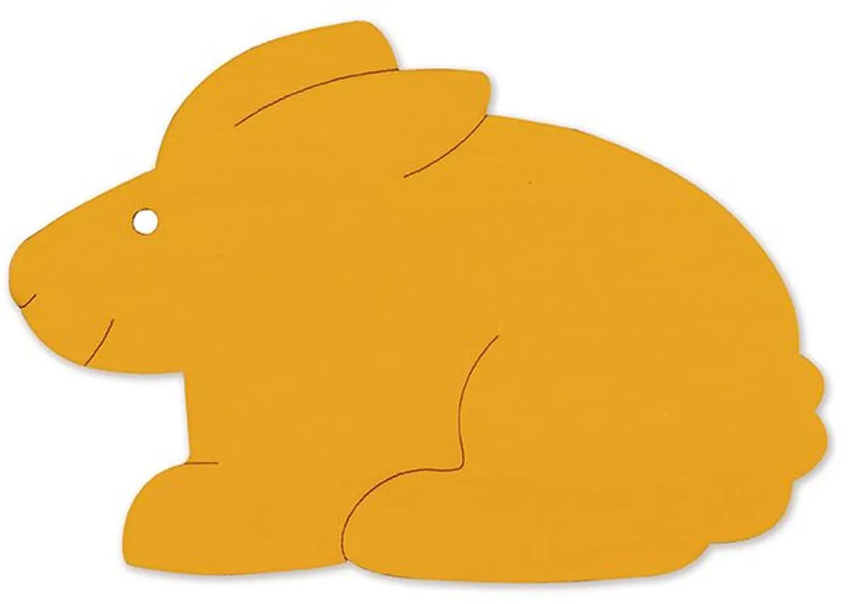 Hape Five Rabbits Junior Vormenpuzzel 5 Stuks - Multicolor