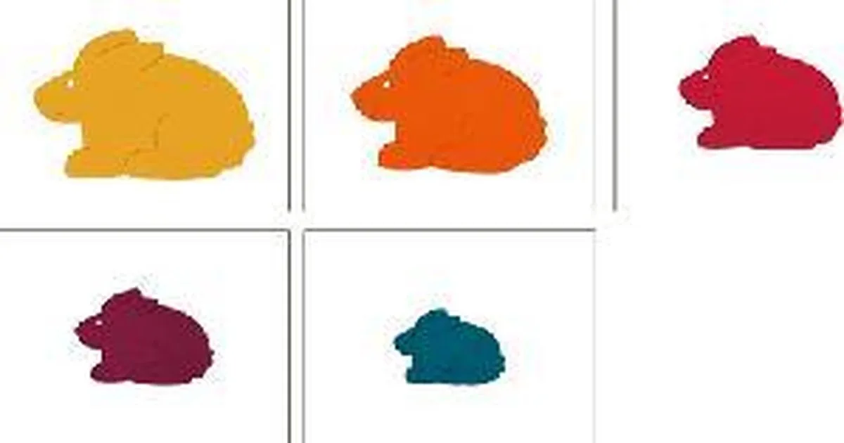 Hape Five Rabbits Junior Vormenpuzzel 5 Stuks - Multicolor
