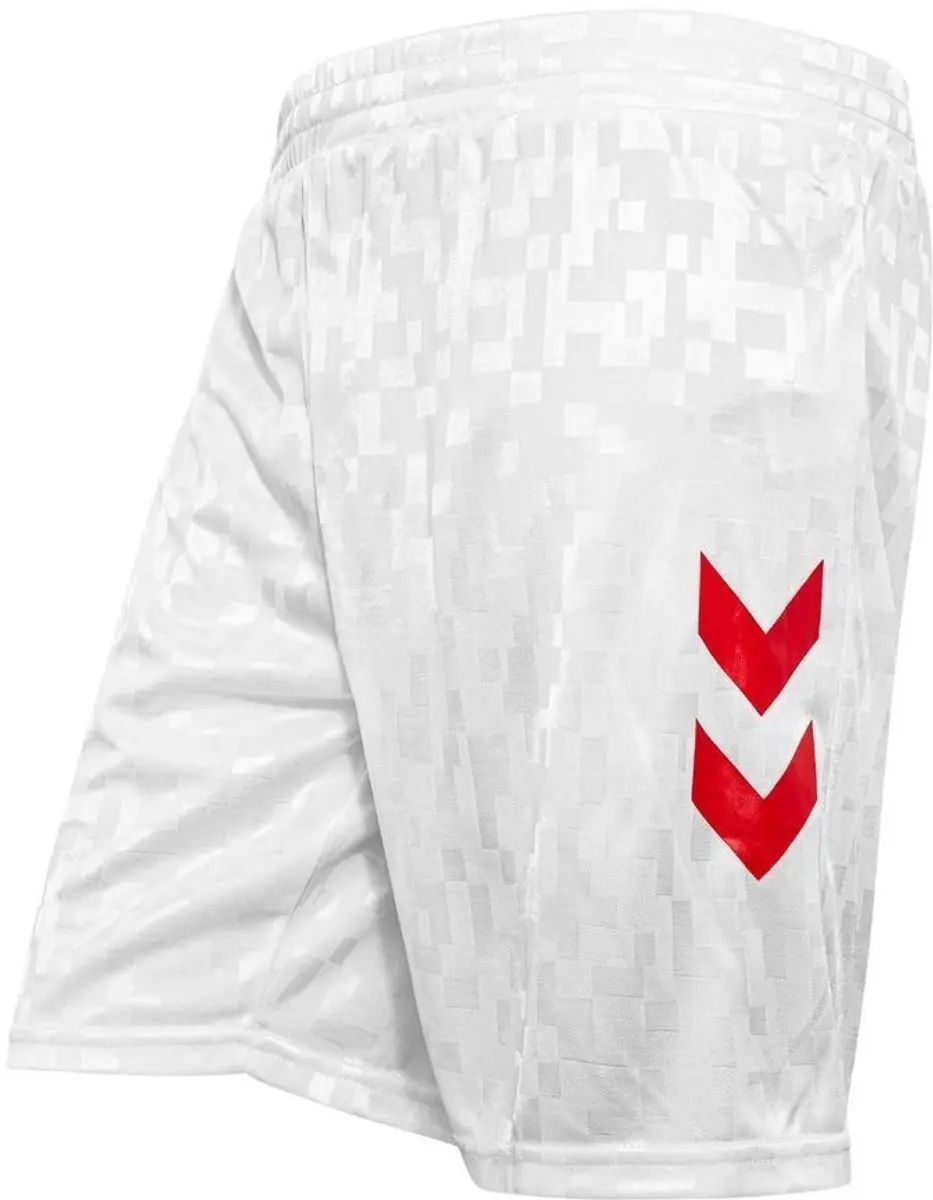 Hummel Denemarken 2024/25 Kinderjas 225010