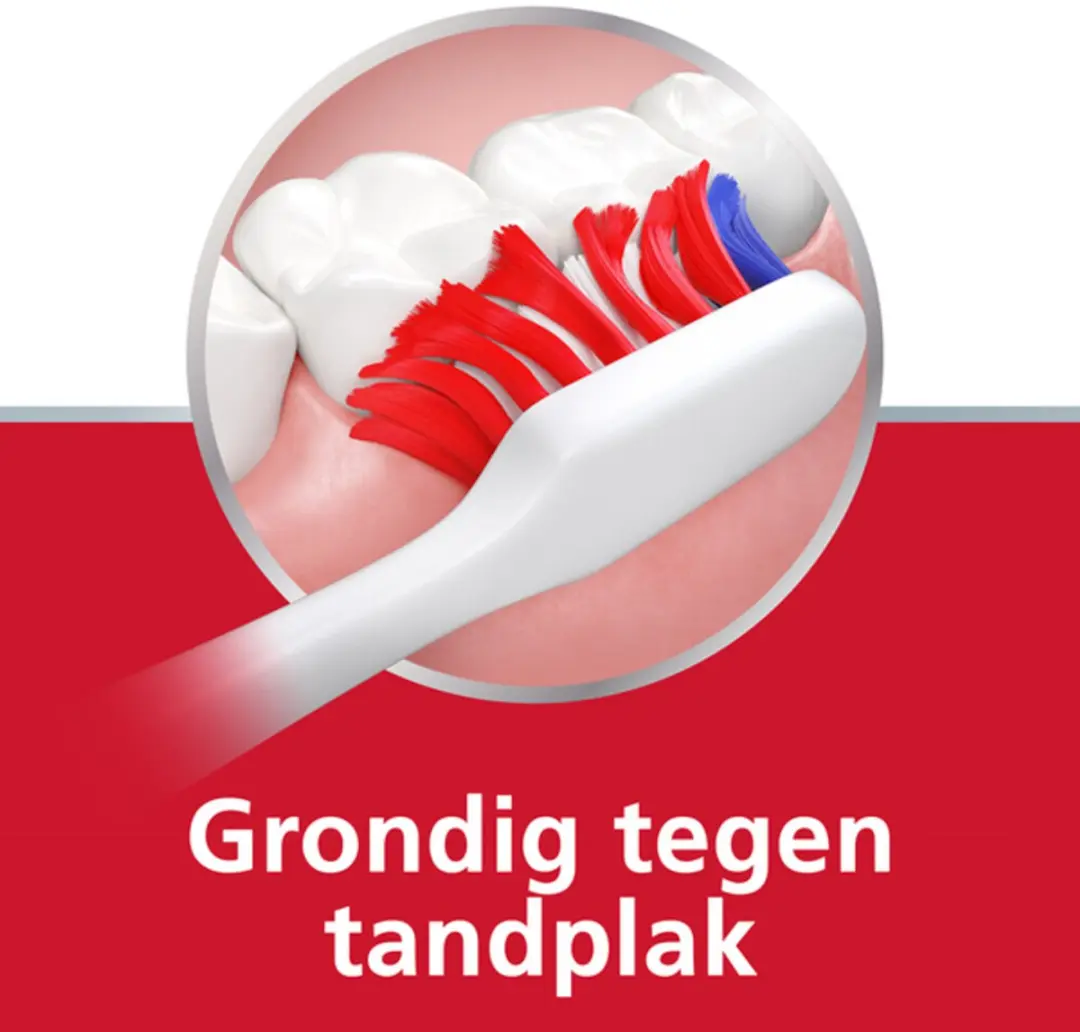 Parodontax Tandenborstel Dagelijkse Reiniging - Multi colour
