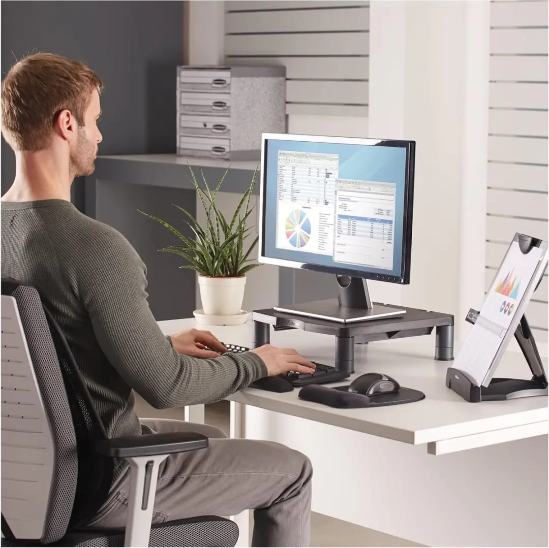 Fellowes Dual Monitor Stand Riser - Grijs