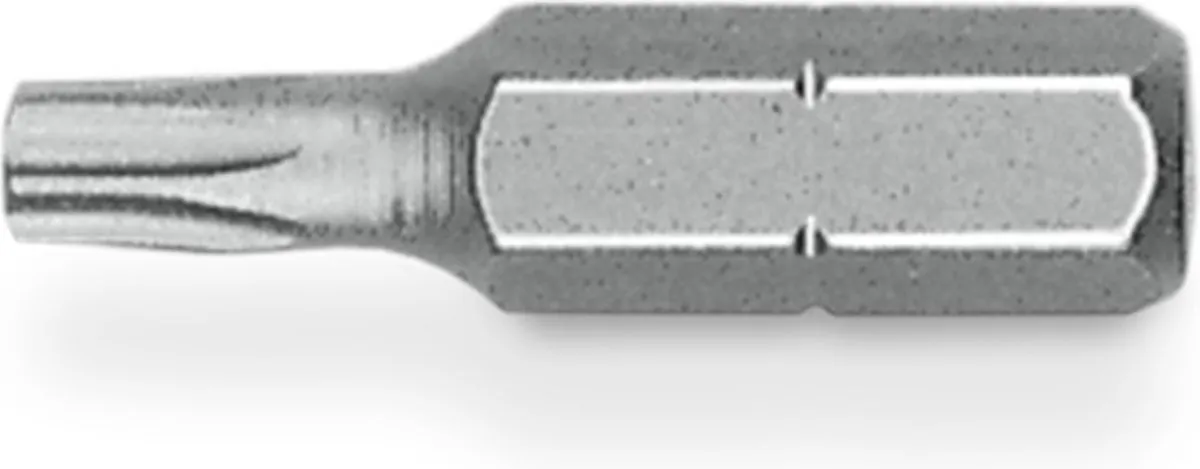 Hikoki HI00370 Bit TX20 25mm - 25 Stuks