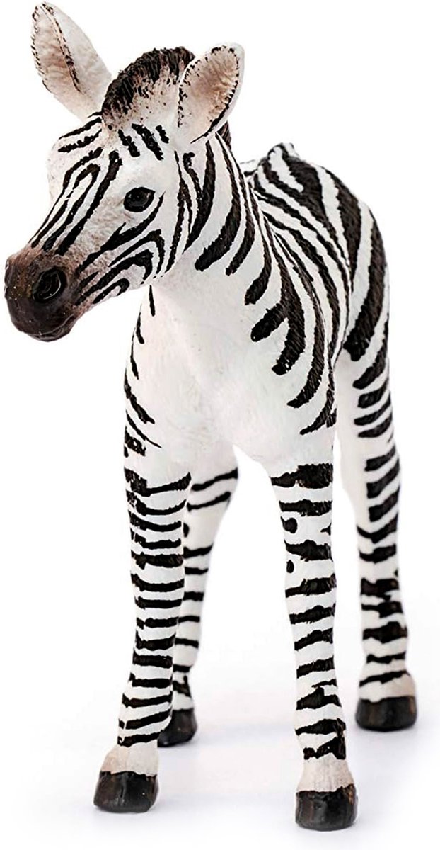 SLH14811 Schleich Wild Life - Jonge Zebra, Kinderfiguur 3+
