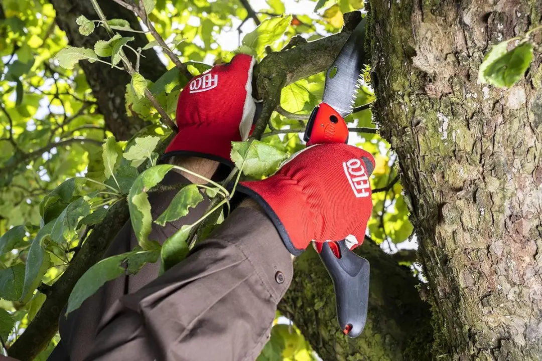 Felco 603 Snoeizaag - inklapbaar - Ø100mm