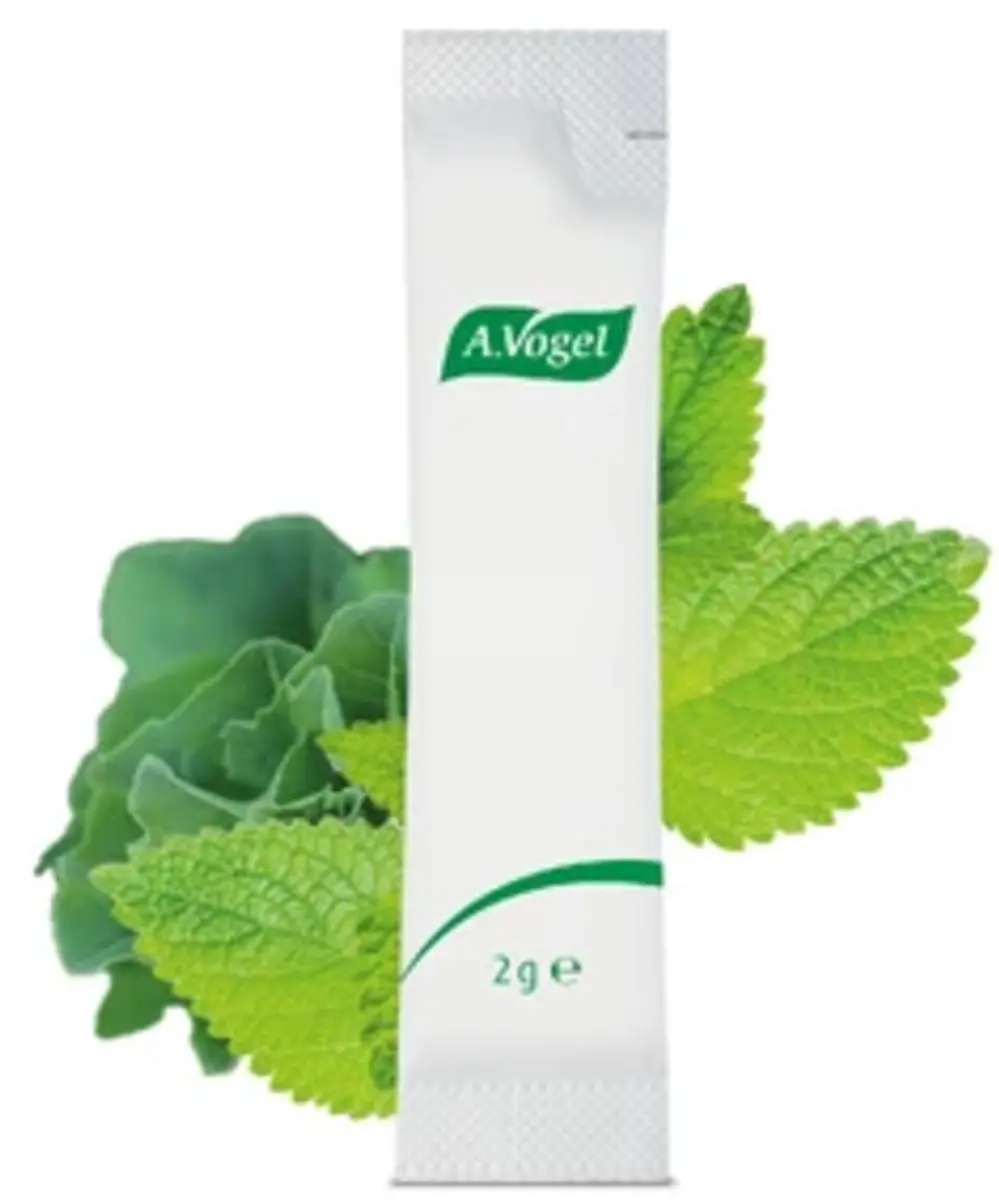 A.Vogel Nachtrust Sticks Hooggedoseerd - 28g