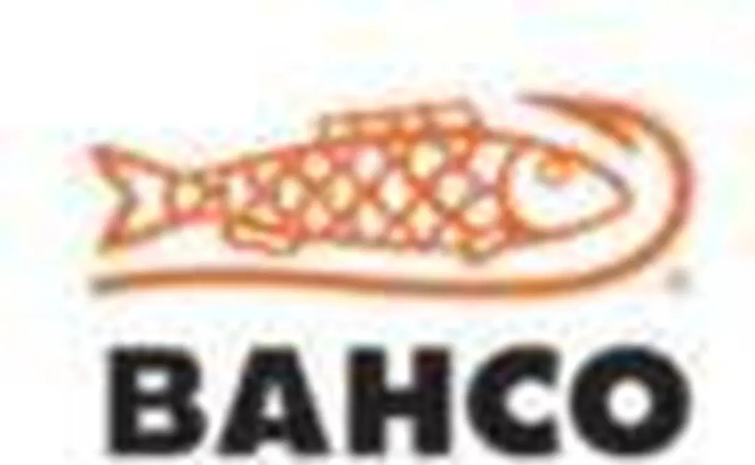 Bahco Moneertang 2339-250Ip - Zwart