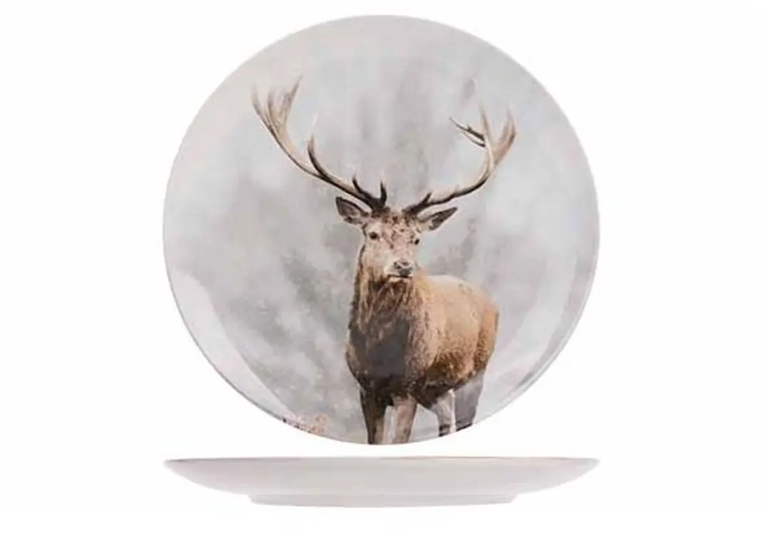 Cosy&Trendy Animal Dessertbord D20cm
