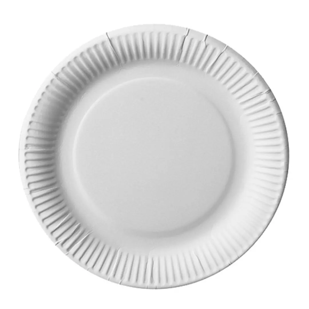Pure Kartonnen Borden 100 Stuks - Ø23cm - FSC Wit