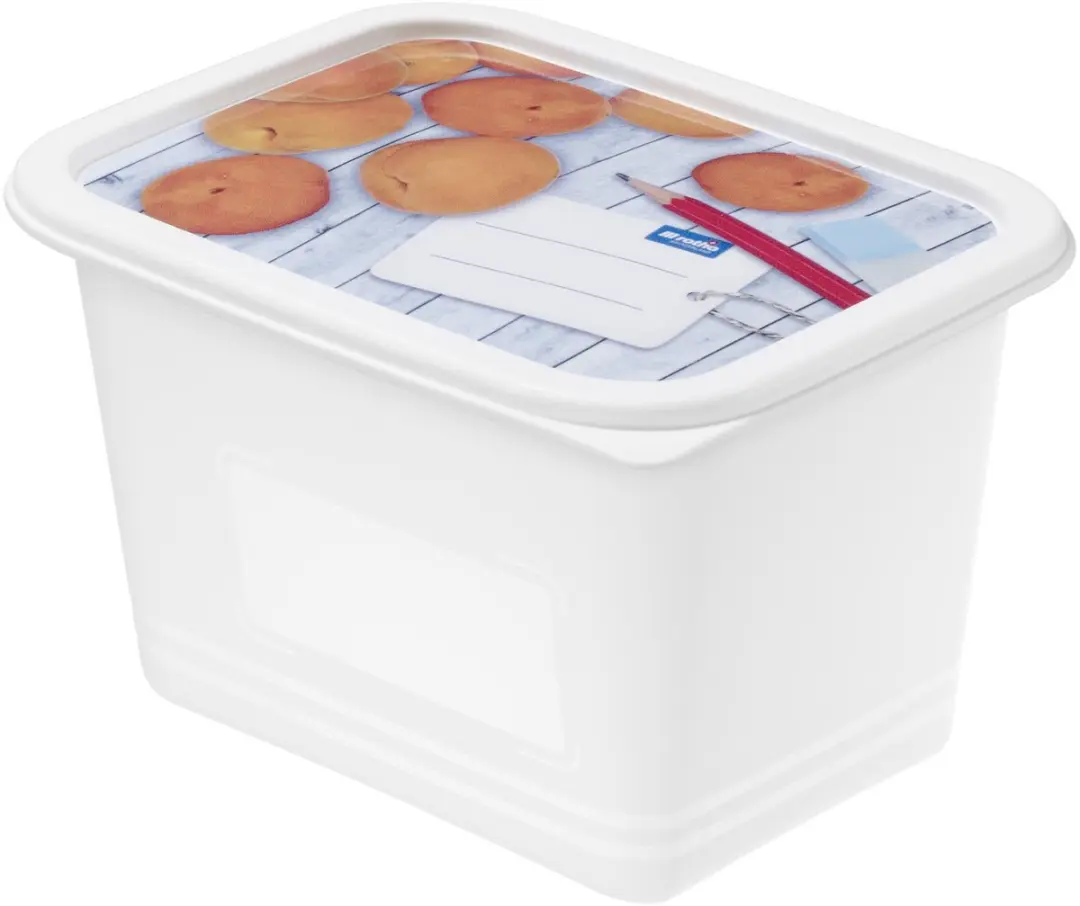 Rotho Domino Diepvriesdozen 4x1L - Wit