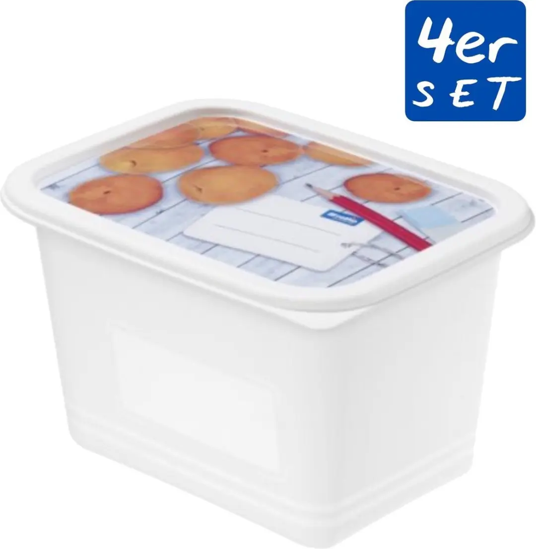 Rotho Domino Diepvriesdozen 4x1L - Wit