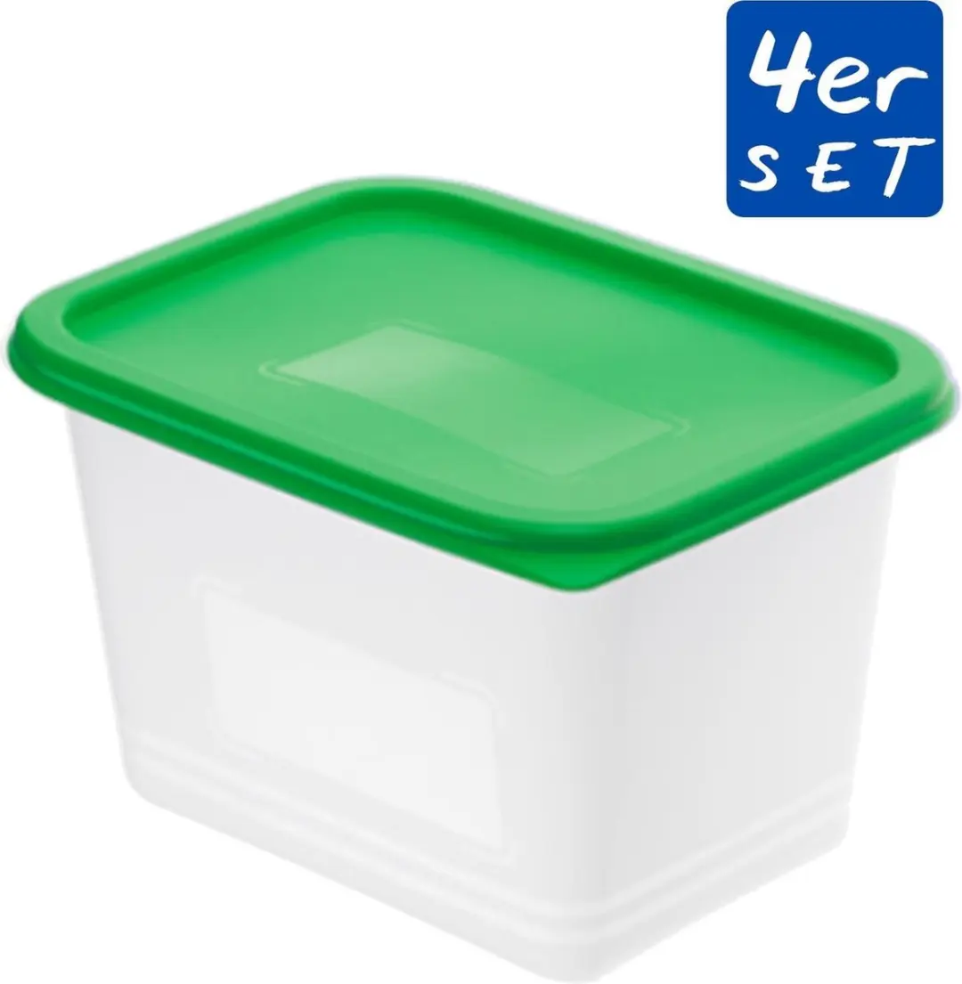 Rotho Domino Diepvriesdozen 4x1L - Wit
