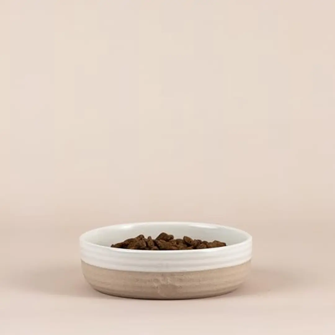 Mason Cash Reactive Paw Hondenbak M - 15cm Ø - 500ml