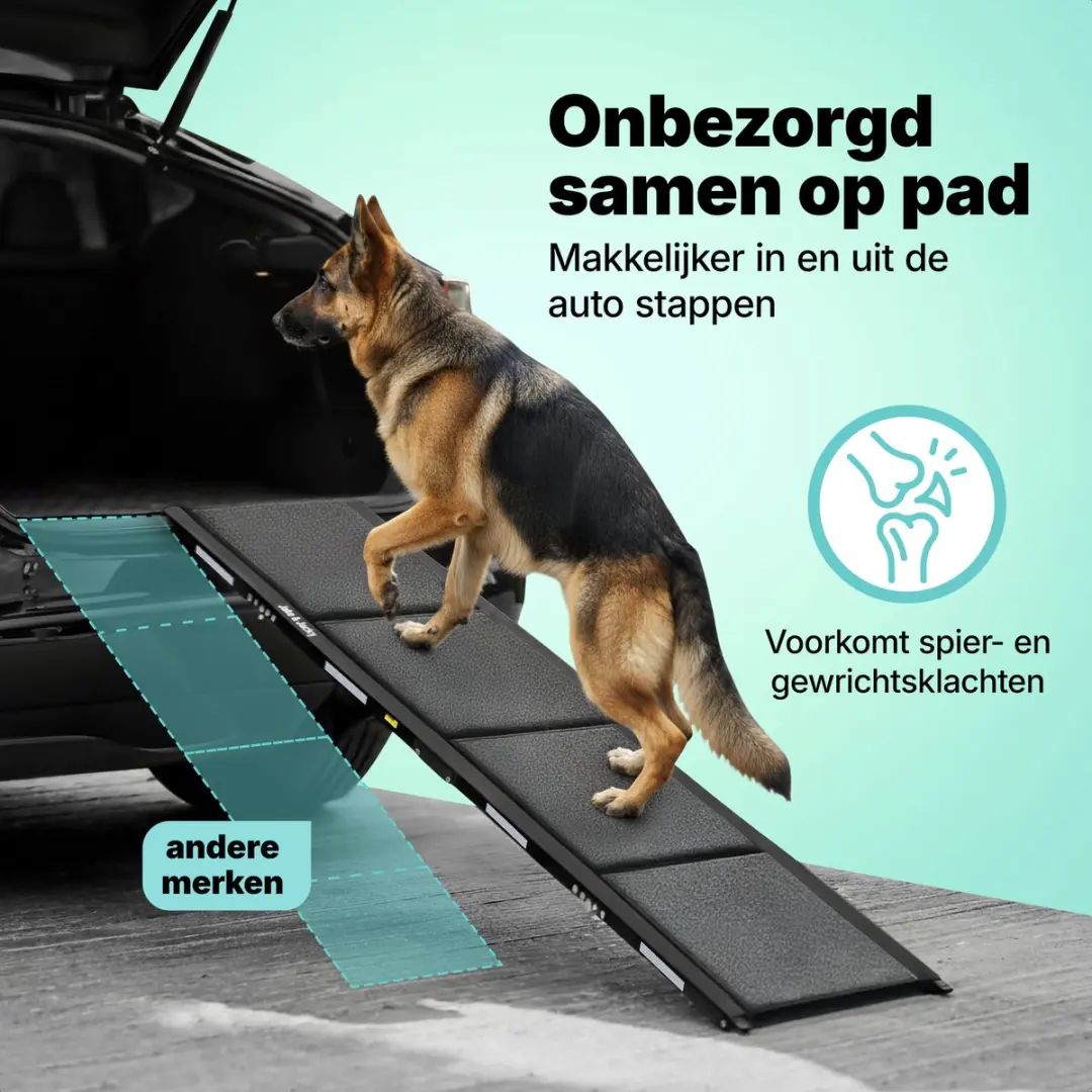 Jake and Jacky Hondenloopplank Auto 180x55cm - Antislip