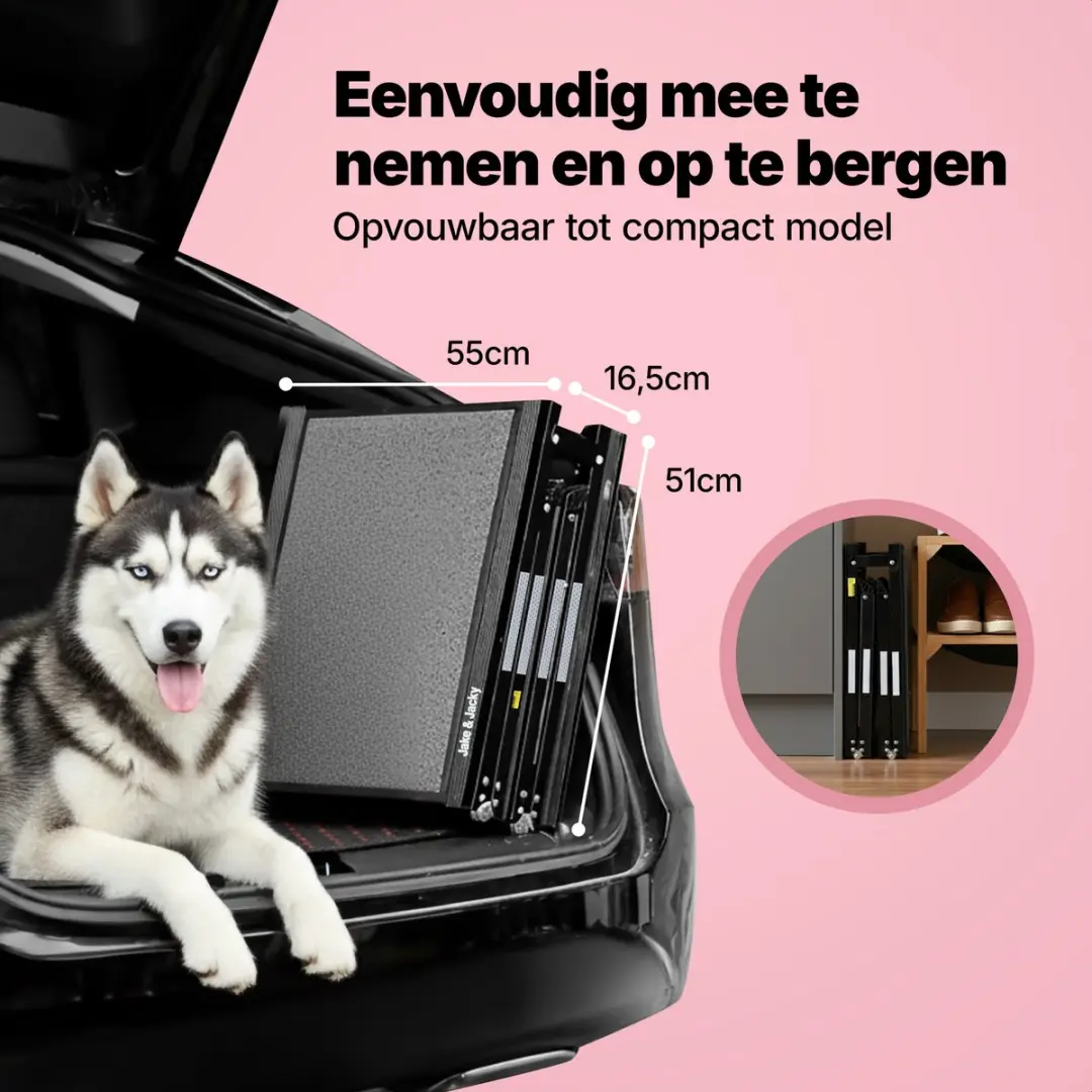 Jake and Jacky Hondenloopplank Auto 180x55cm - Antislip