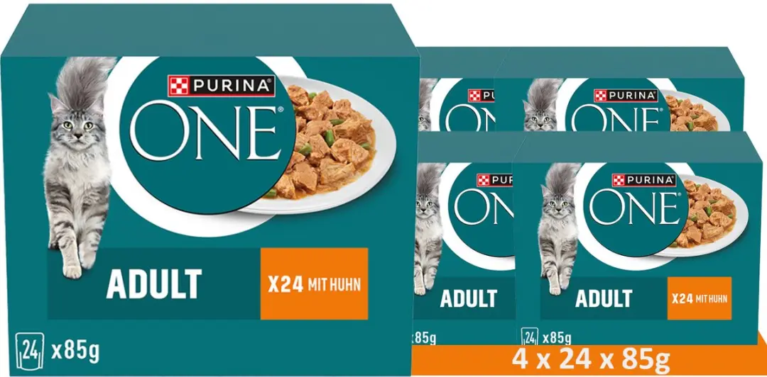 Purina ONE Adult Kattenvoer Multipack Kip & Groene Bonen