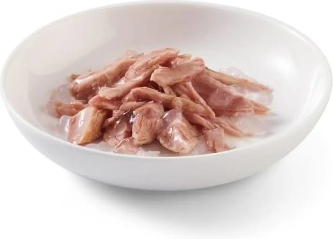 Schesir Kattenvoer Tonijn in Gelei 85g