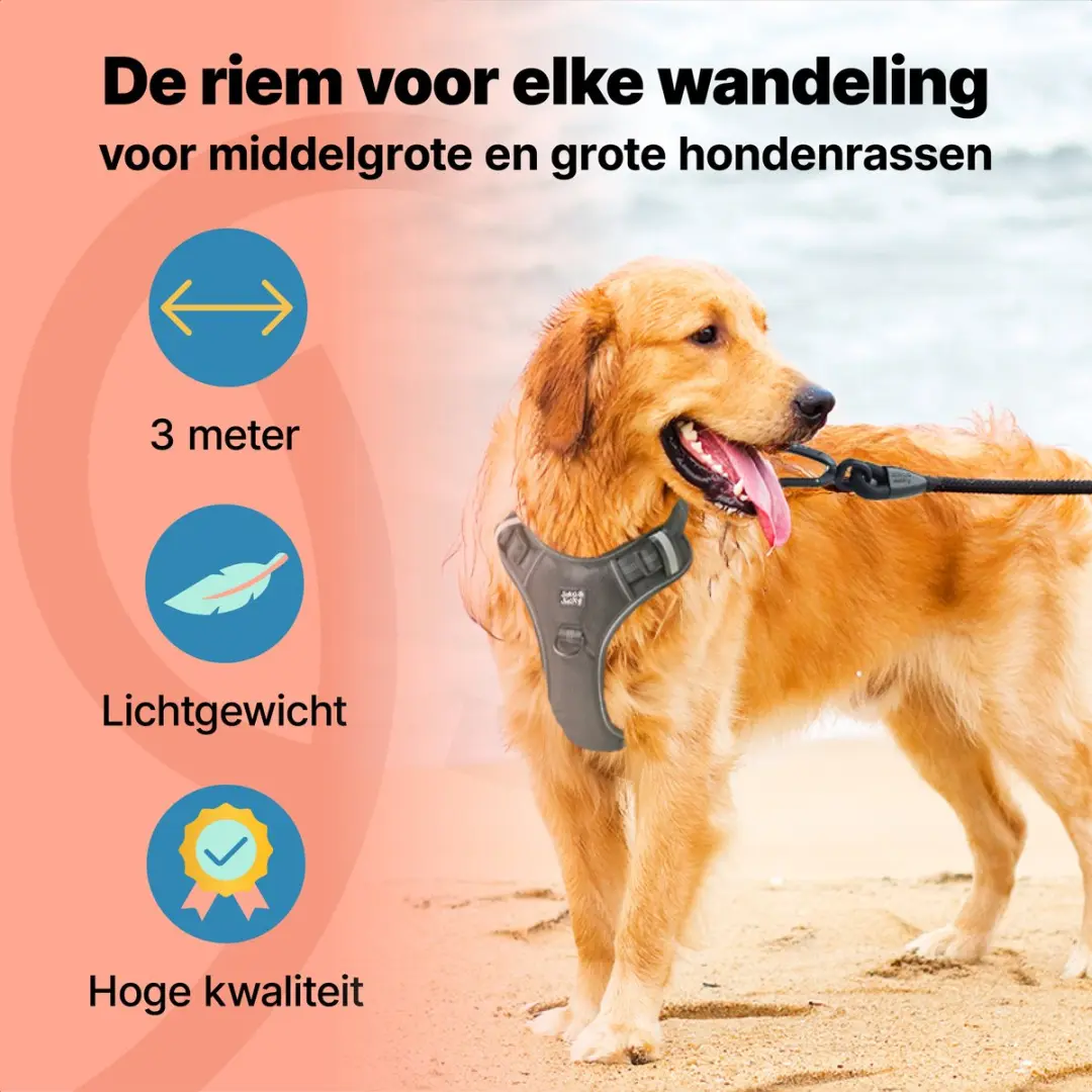 Jake and Jacky Hondenriem 3m - Zwart