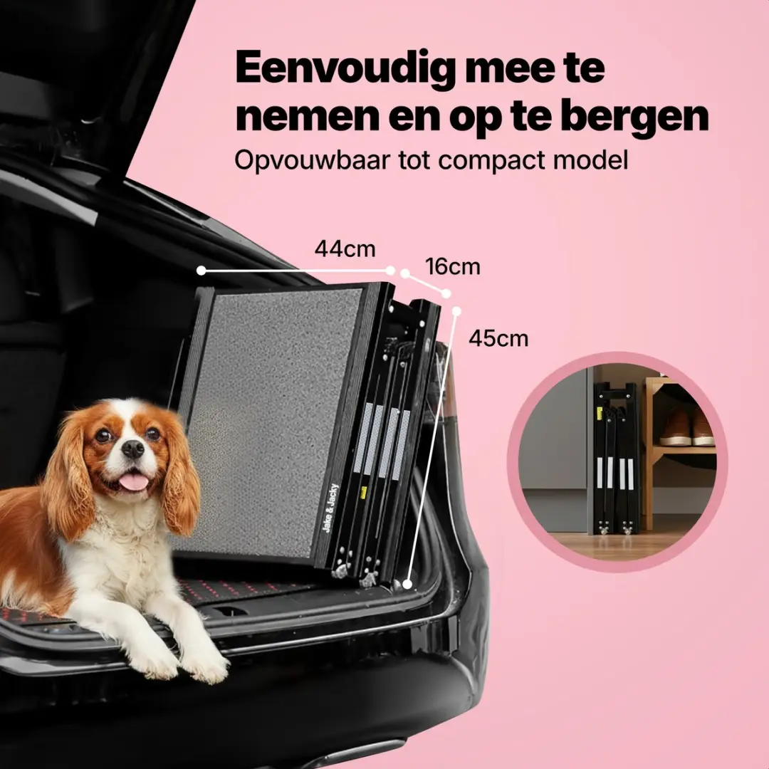 Jake and Jacky Hondenloopplank Auto - Opvouwbaar 160x44cm - Zwart